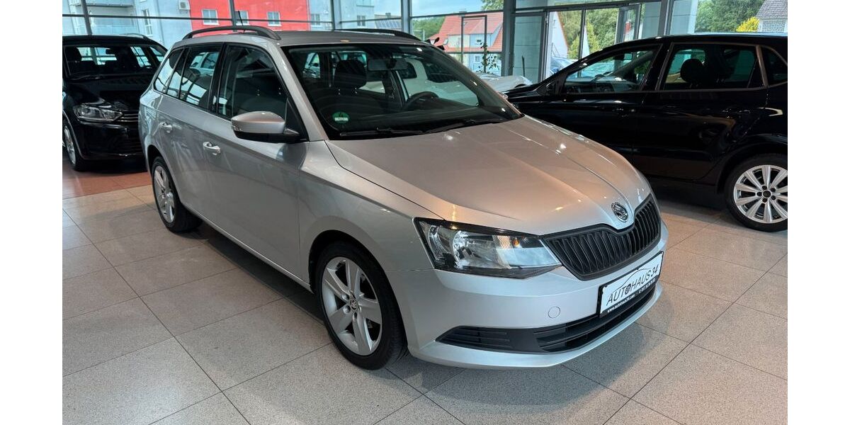 Skoda Fabia 256.000 km 4.450 &euro; Hessisch Lichtenau 37235
