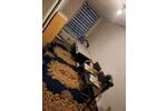 Etagenwohnung Landshut Landshut-West - 1 Zimmer, 15 m&sup2;, 500&euro; | Angebot:26673520