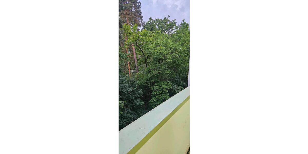 Etagenwohnung Dessau-Roßlau Brambach - 3 Zimmer, 59 m&sup2;, 50.000&euro; | Angebot:26824889