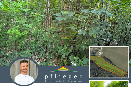 Grundstück Fürstenstein - 45.000&euro; | Angebot:27146773
