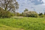 HORN IMMOBILIEN++ Dreifamilienhaus in Penkun mit großem Grundstück - Mehrfamilienhaus, Wohnhaus Penkun | Angebot:26815144