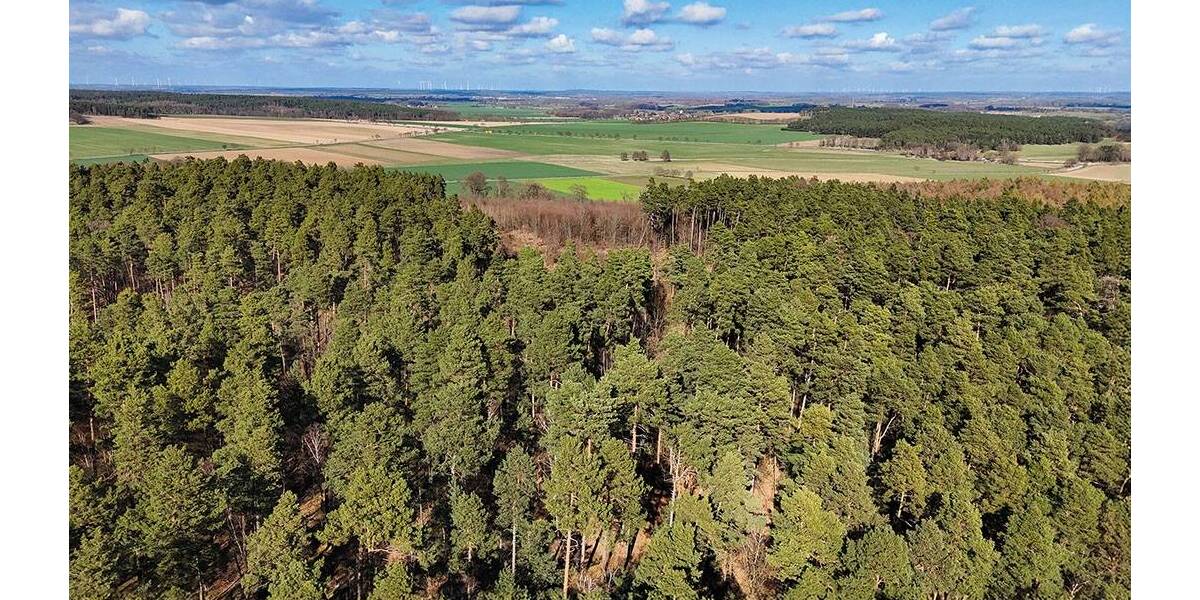 Grundstück Gardelegen Zichtau - 98.000&euro; | Angebot:26246289