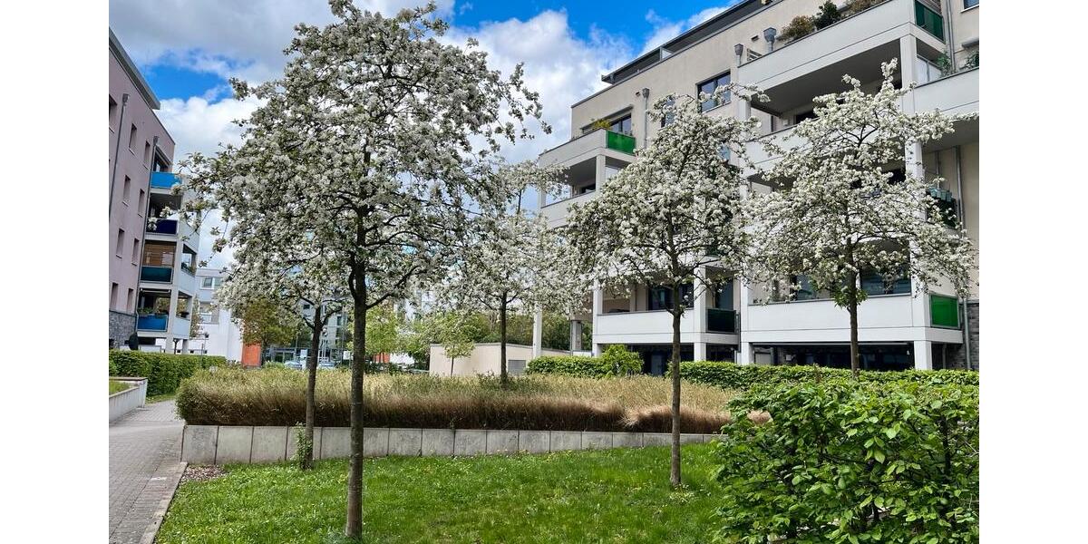 Etagenwohnung Offenbach am Main Bieberer Berg - 1 Zimmer, 36 m&sup2;, 199.000&euro; | Angebot:26335599