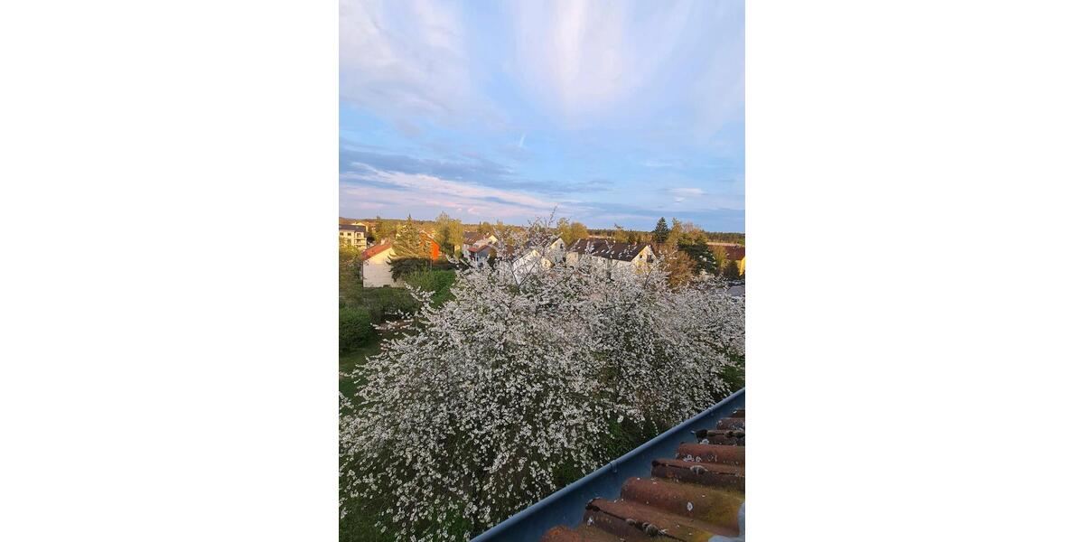 Dachgeschoßwohnung Nürnberg Katzwang - 2 Zimmer, 58 m&sup2;, 720&euro; | Angebot:26408114