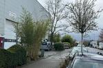 Gewerbeobjekt Niederkassel - 1.720&euro; | Angebot:25662923