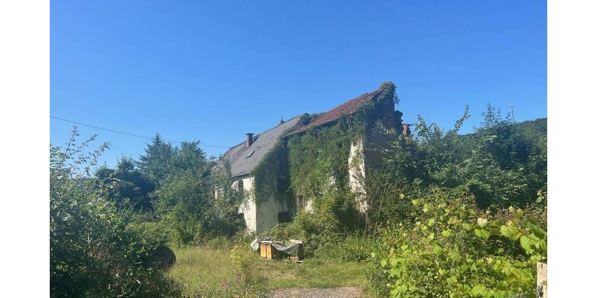 Grundstück Wadern Büschfeld - 130.000&euro; | Angebot:26243730