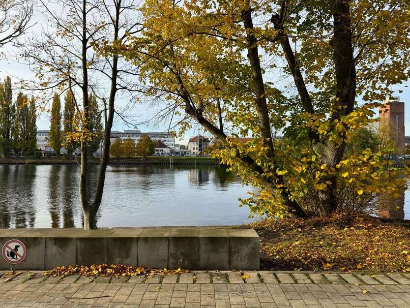 Wohnung zum Mieten in Berlin 647,91 € 28.17 m² 1 zimmer