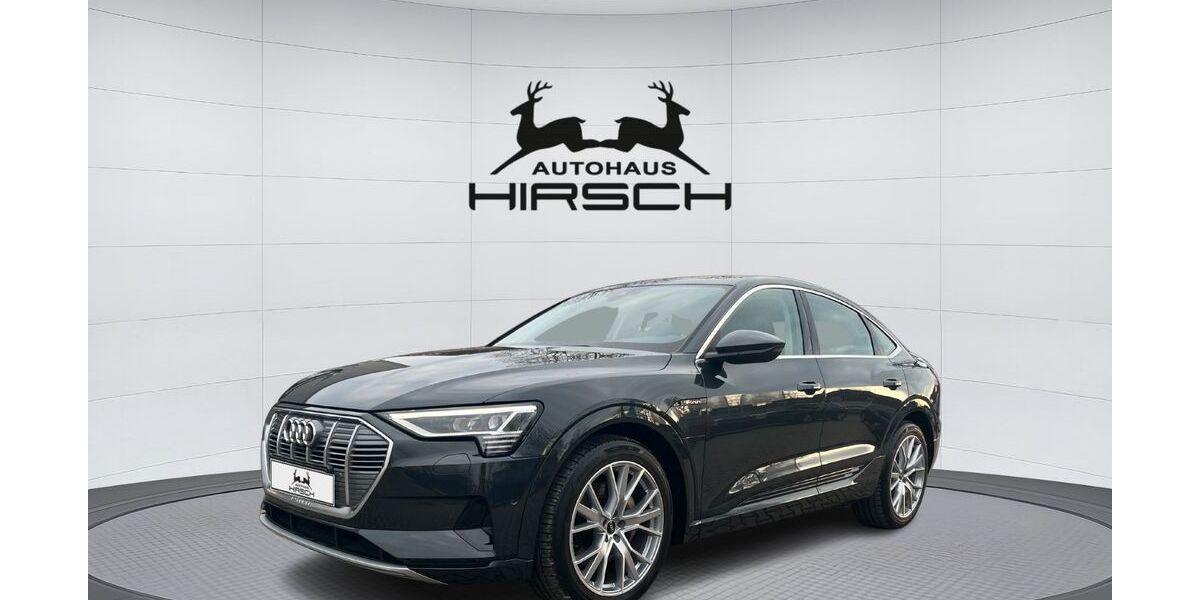 Audi e-tron 24.490 km 30.990 &euro; Chemnitz 09120