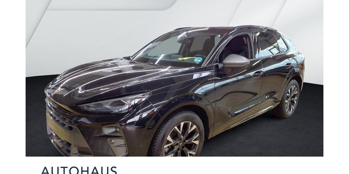 Cupra Terramar 25.000 km 33.500 &euro; Ebersberg bei München 85560