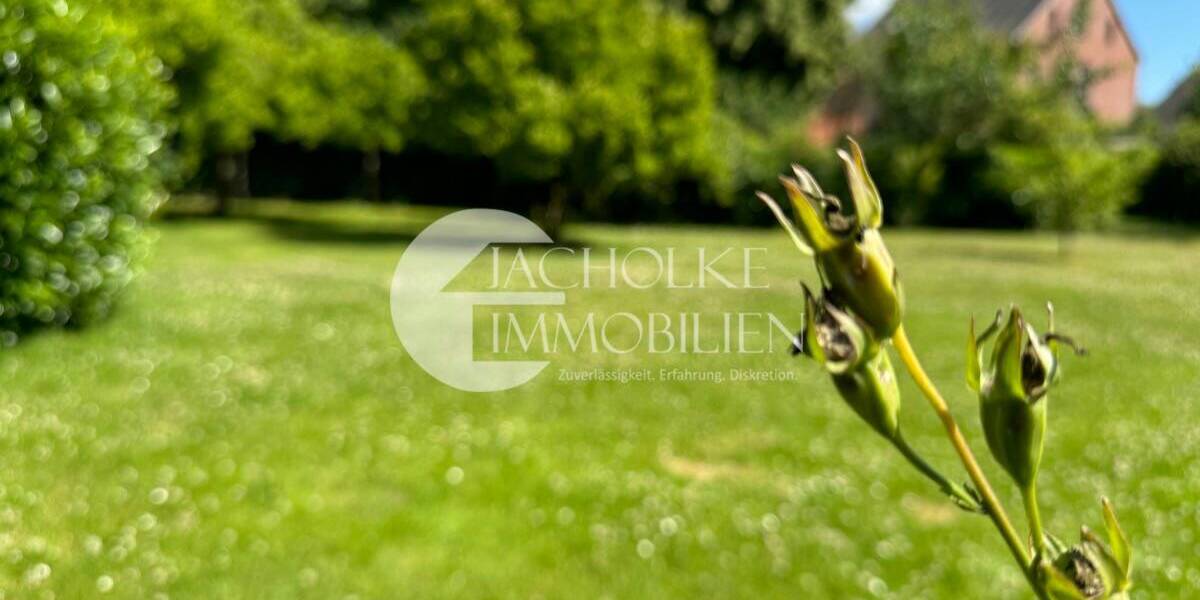 Gewerbeobjekt Ebstorf - 289.000&euro; | Angebot:25802568