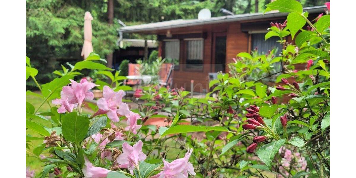 Grundstück Coswig (Anhalt) Coswig - 50.000&euro; | Angebot:26851834