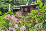 Grundstück Coswig (Anhalt) Coswig - 50.000&euro; | Angebot:26851834