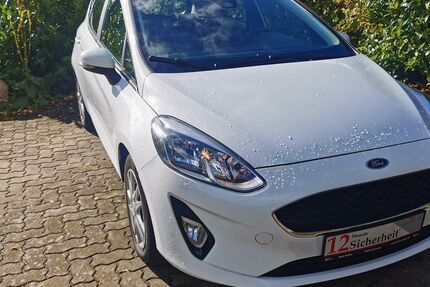 Ford Fiesta 37.846 km 14.590 € Luerschau 24850