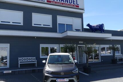 Opel Crossland (X) 26.000 km 17.000 &euro; Magdeburg 39108