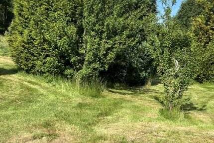 Grundstück Dippoldiswalde - 84.000&euro; | Angebot:19308559