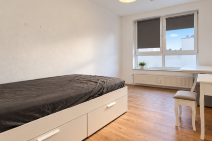 Wohnung Mittweida - 1 Zimmer, 21 m&sup2;, 290&euro; | Angebot:27356768