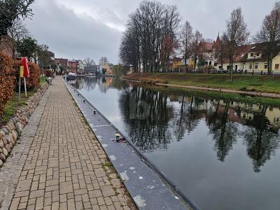 FLUßAUFWÄRTS IM BLICK - Mehrfamilienhaus, Wohnhaus Plau am See | Angebot:26119834