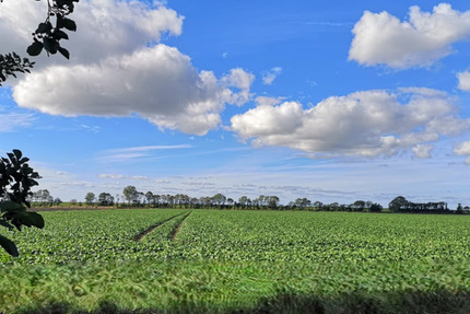 Großes Baugrundstück mit Entwicklungspotenzial in Norden-Leybuchtpolder zimmer