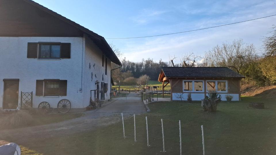 Einfamilienhaus Bogen - 569.000&euro; | Angebot:26765964