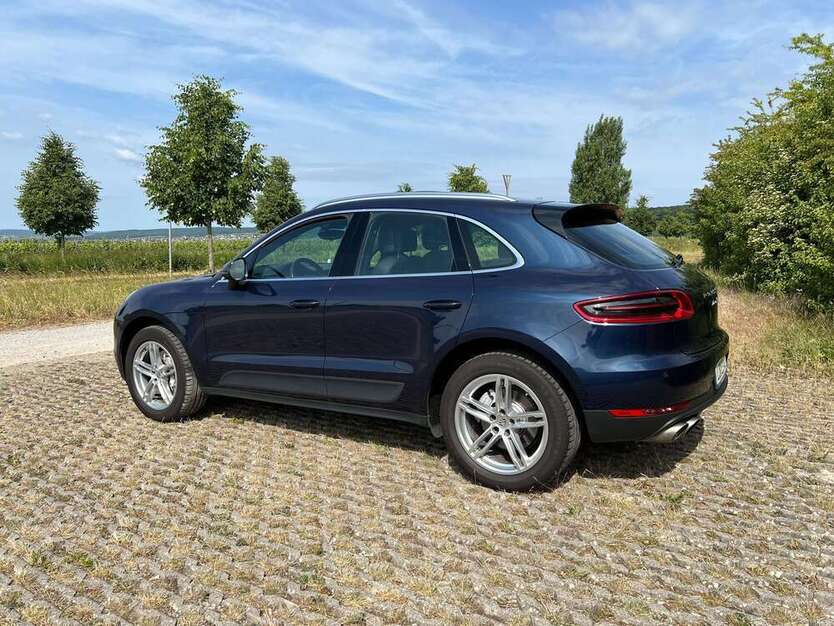 Macan