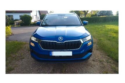 Skoda Karoq 87.000 km 17.999 &euro; Kirchenthumbach 91281