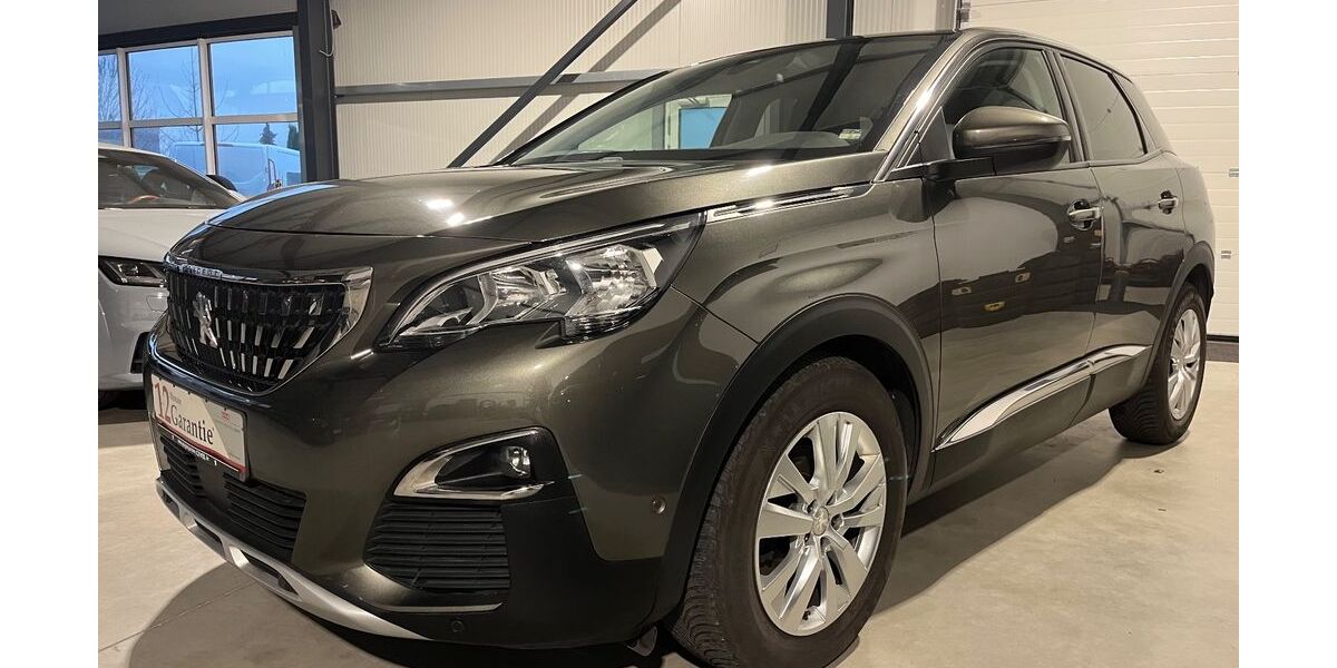 Peugeot 3008 122.666 km 16.480 € Irlich 56567