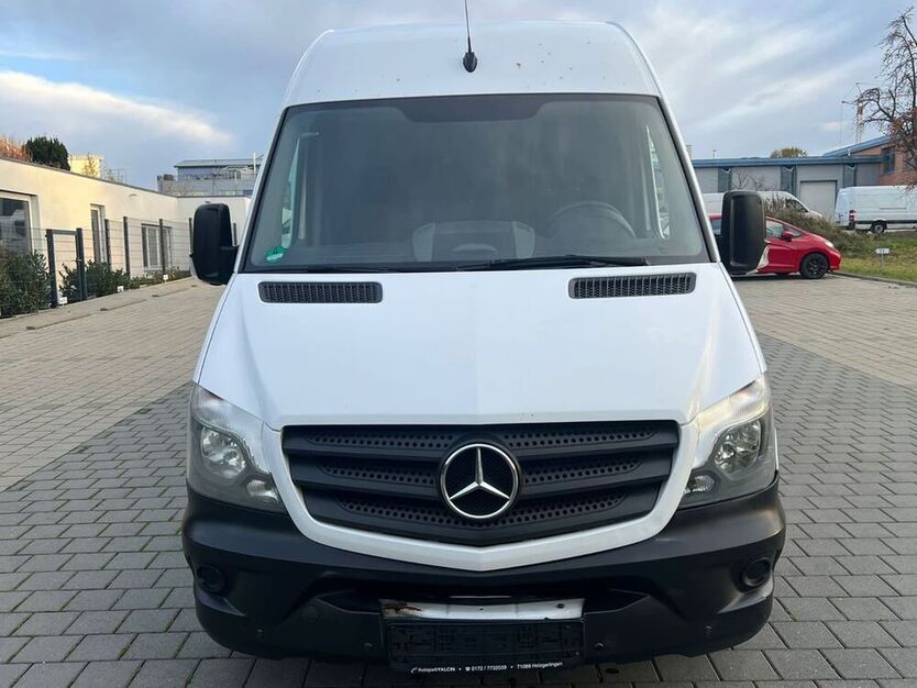 Sprinter