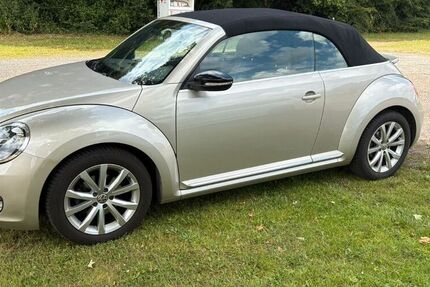 VW Beetle