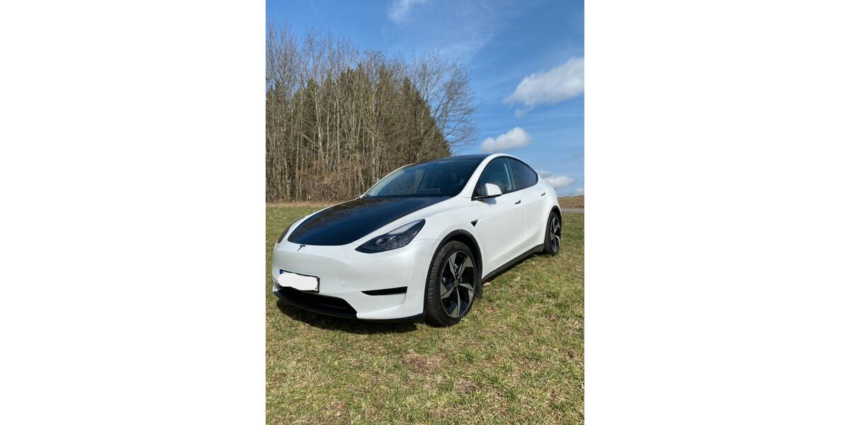 Tesla Model Y 73.000 km 31.999 &euro; Rimbach 64668