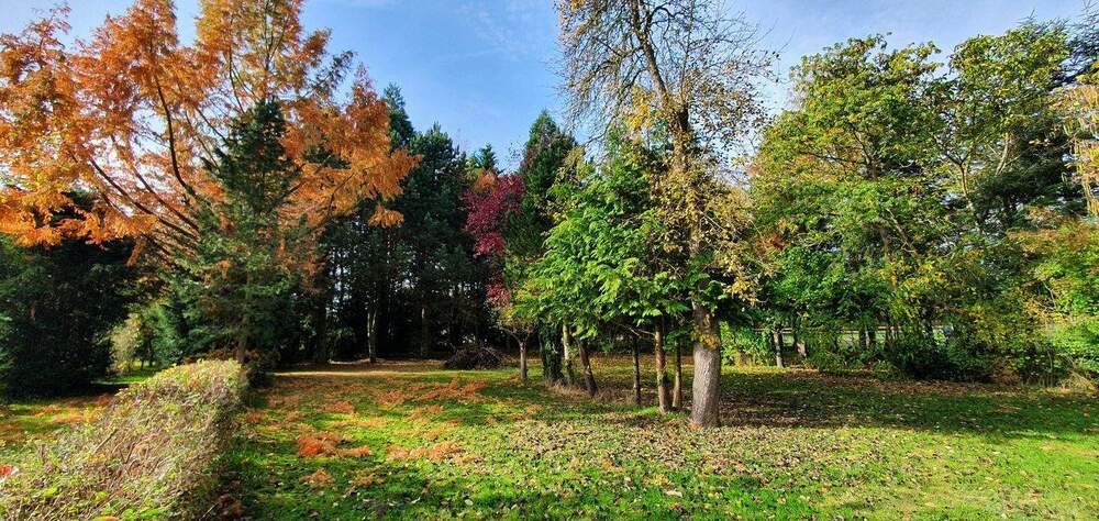 Viel Platz für Ihre Ideen - 2 Häuser * Bürohaus * Ladengeschäft * Wirtschaftsgebäude * 4 Garagen * Wald uvm. - Mehrfamilienhaus, Wohnhaus Arendsee (Altmark) Fleetmark | Angebot:25536497