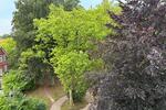Dachgeschoßwohnung Bad Bevensen - 2 Zimmer, 65 m&sup2;, 239.000&euro; | Angebot:27121271