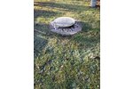 Lichtentanne, Grdst. + Bungalow - Grundstück Lichtentanne | Angebot:18333853