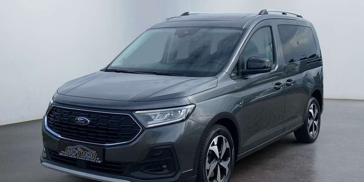 Ford Tourneo Connect 59.723 km 23.359 &euro; Gardelegen 39638