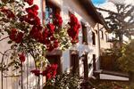 Einfamilienhaus Wallerfangen - 8 Zimmer, 248 m&sup2;, 348.000&euro; | Angebot:26429292