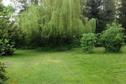 Grundstück Haßloch - 900.000&euro; | Angebot:23472727