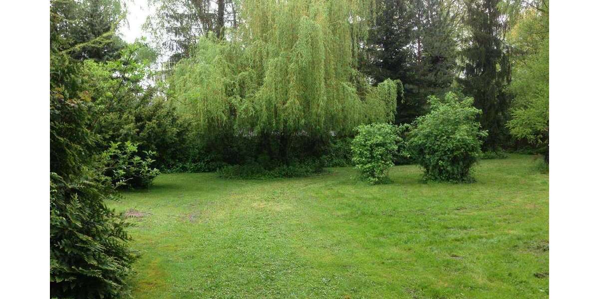 Grundstück Haßloch - 900.000&euro; | Angebot:23472727