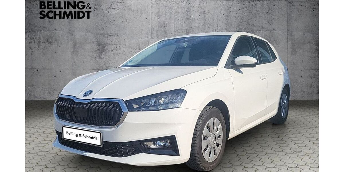 Skoda Fabia 11.000 km 18.990 &euro; Dannenberg 29451