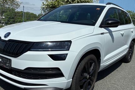 Skoda Karoq 145.000 km 16.998 &euro; Rehau 95111