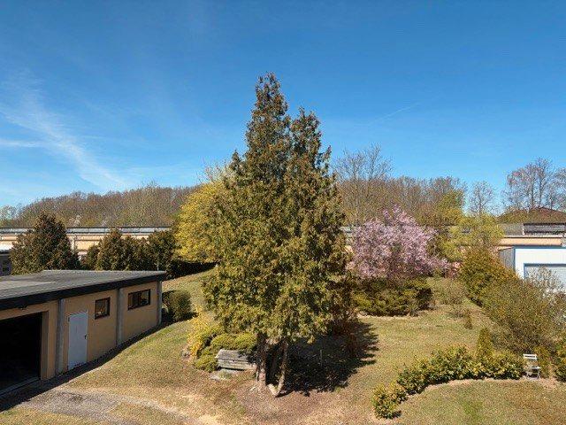 Dachgeschoßwohnung Braunschweig Wabe-Schunter-Beberbach - 2 Zimmer, 100 m&sup2;, 850&euro; | Angebot:26209878