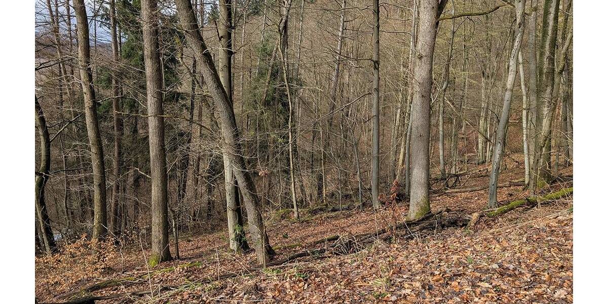 Grundstück Bad Lauterberg im Harz - 6.000&euro; | Angebot:26246309