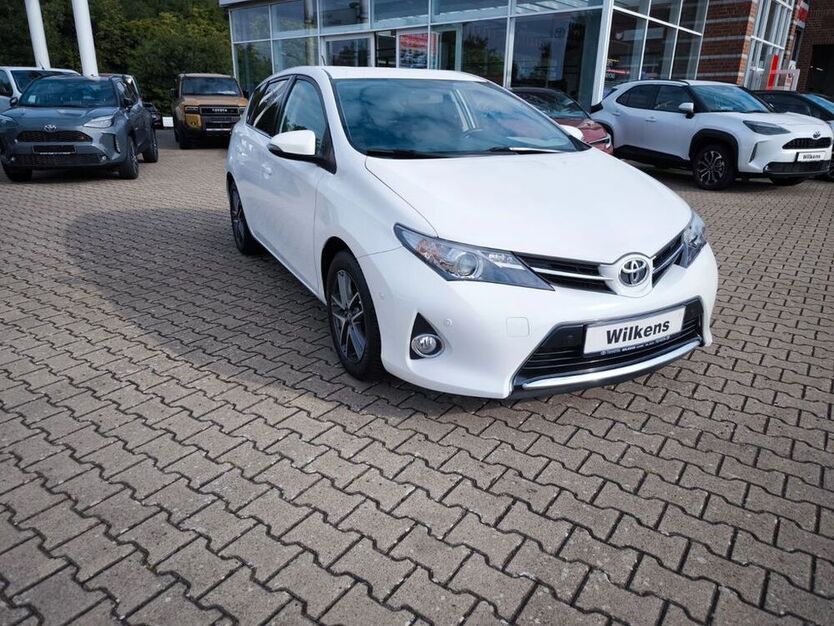 Auris