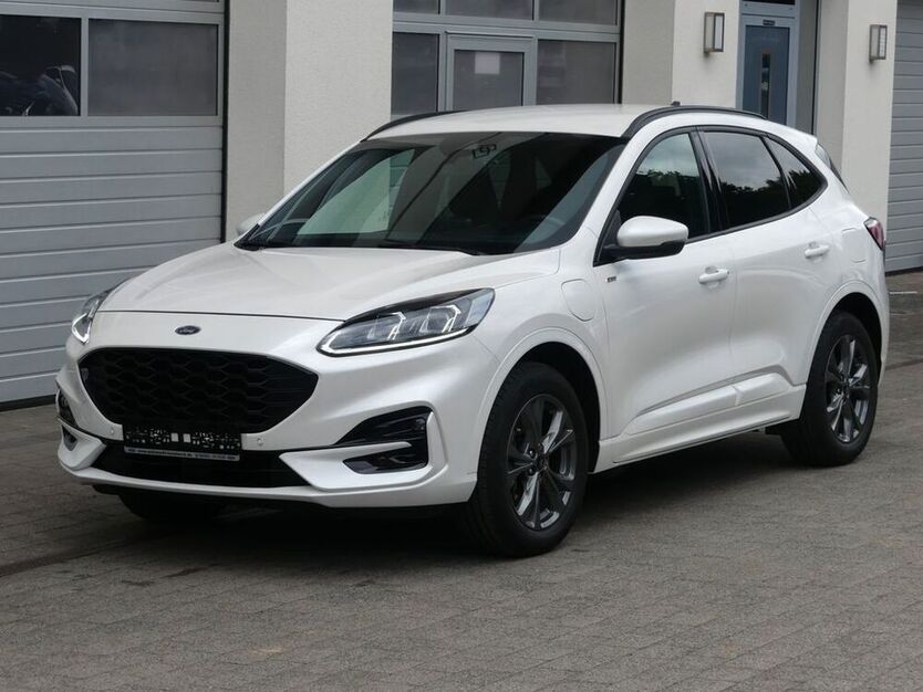 Kuga