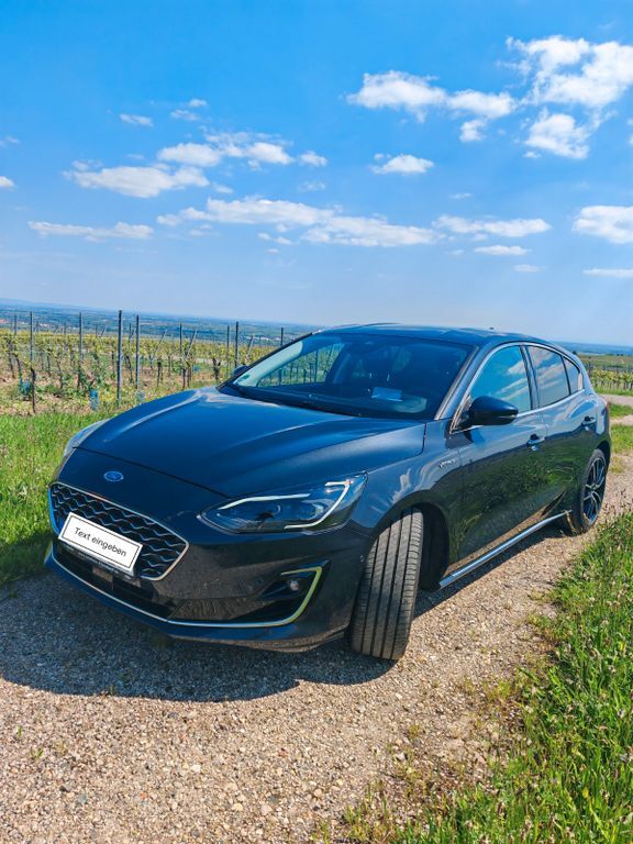 Ford Focus 50.000 km 19.990 € Weisenheim am Berg 67273