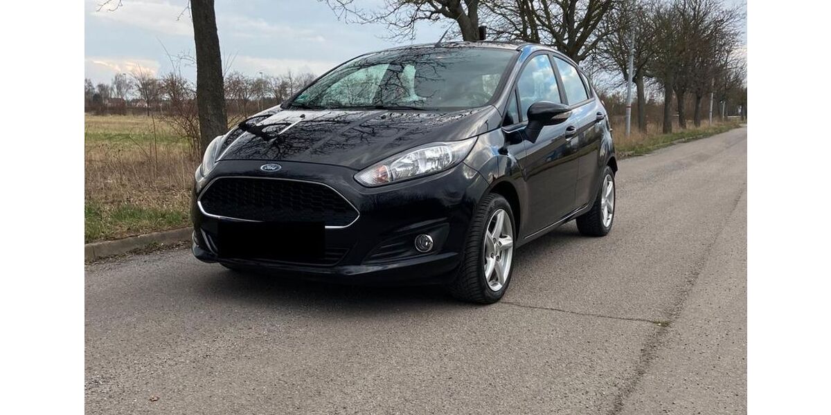 Ford Fiesta 48.722 km 8.490 &euro; Torgau 04860