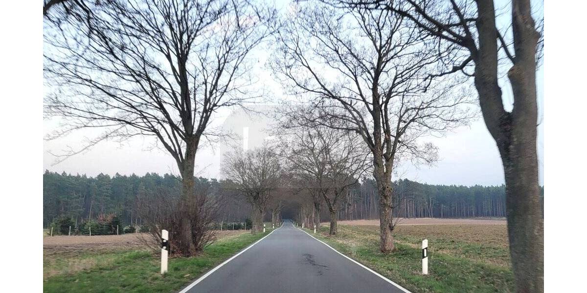Grundstück Bad Schmiedeberg Reinharz - 17.000&euro; | Angebot:26684565
