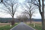 Grundstück Bad Schmiedeberg Reinharz - 17.000&euro; | Angebot:26684565