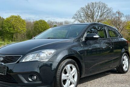 Kia ceed / Ceed 125.166 km 4.990 &euro; Neukirchen-Vluyn 47506