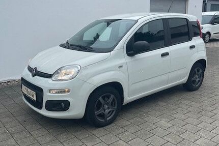 Fiat Panda 49.000 km 9.900 € Bad Gögging 93333