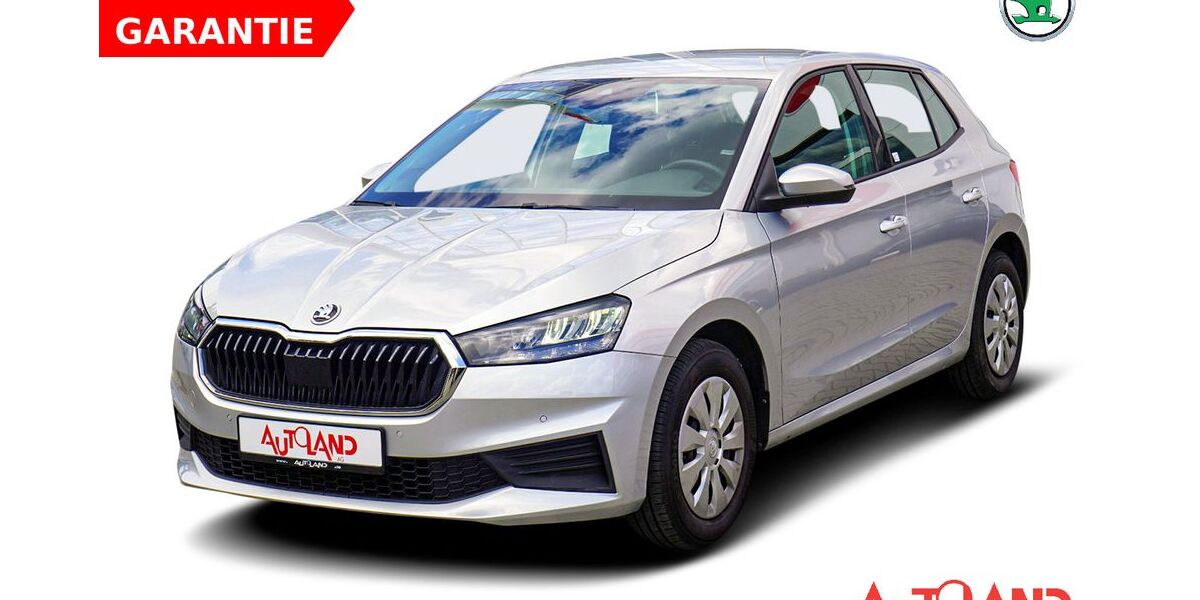 Skoda Fabia 57.711 km 16.950 &euro; Eisenhüttenstadt 15890