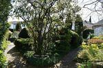 **RESERVIERT** Freistehendes Einfamilienhaus mit Gartenidylle in Seeheim-Jugenheim - Einfamilienhaus Seeheim-Jugenheim Bergstraße | Angebot:26286081